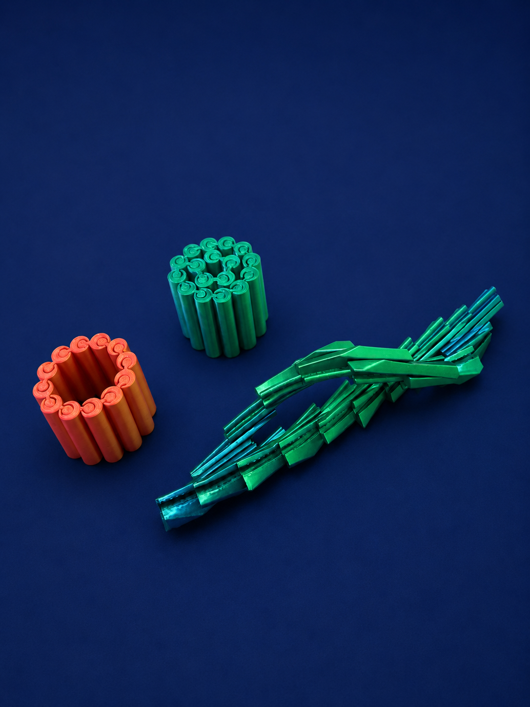 Flexi Coil Bloom Fidget